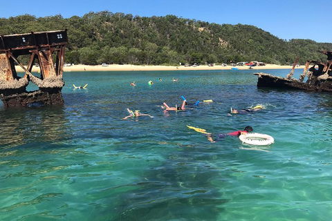 All Inclusive Dolphin And Tangalooma Wrecks Cruise - Restaurant Guide 0