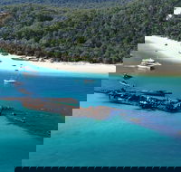All Inclusive Tangalooma Wrecks Cruise Tour From Gold Coast - Restaurant Guide