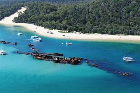 All Inclusive Tangalooma Wrecks Cruise Tour From Gold Coast - Restaurant Guide 0
