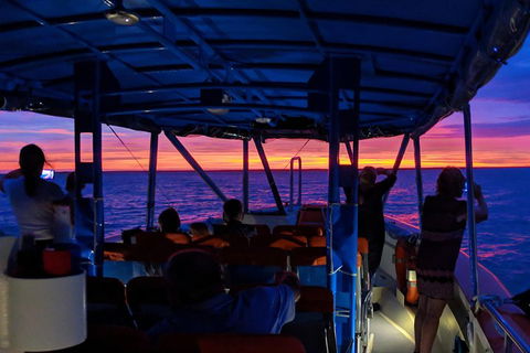 Darwin Sunset Cruise Including Fish 'n' Chips - Restaurant Guide 1