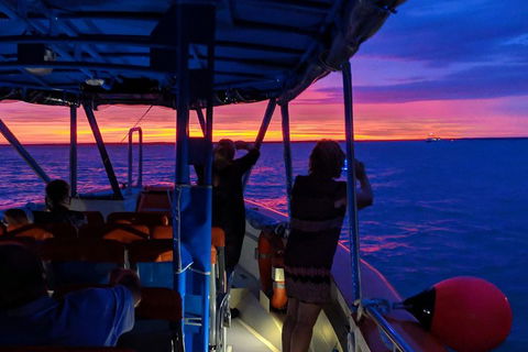 Tropical Light Sundowner Cruise With Drinks Included - Restaurant Guide 5