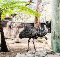 Sydney Taronga Zoo General Entry Ticket and Wild Australia Experience - Restaurant Guide