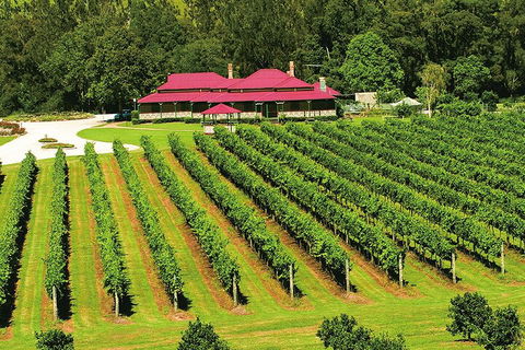 O'Reilly's & Lamington National Park From Gold Coast - Restaurant Guide 2