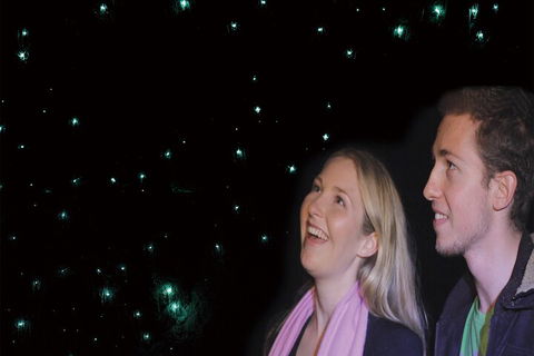 Natural Bridge Glow Worm Night Tour From Gold Coast - Restaurant Guide 3