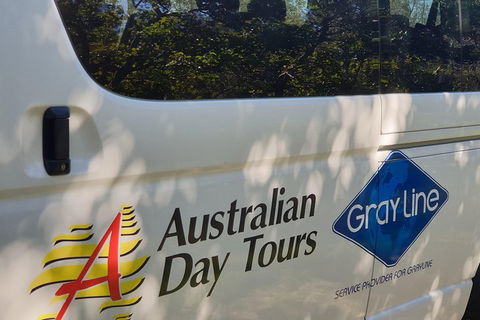 Natural Bridge Glow Worm Night Tour From Gold Coast - Restaurant Guide 5