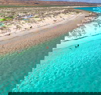Ningaloo in a Day - Full Day Hike and Snorkel Tour with Lunch - Restaurant Guide