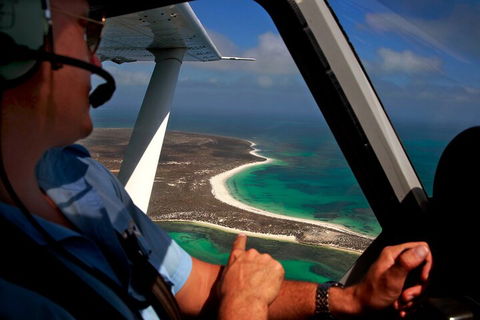 Shipwreck Special Full Day Tour Of The Abrolhos Islands - Restaurant Guide 0