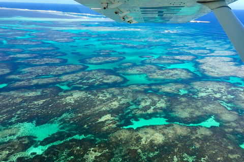 Shipwreck Special Full Day Tour Of The Abrolhos Islands - Restaurant Guide 1
