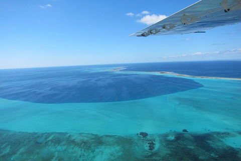 Shipwreck Special Full Day Tour Of The Abrolhos Islands - Restaurant Guide 2