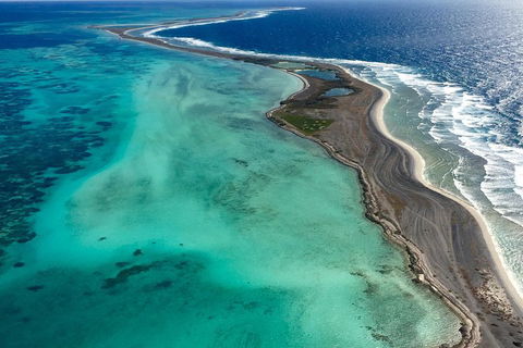 Shipwreck Special Full Day Tour Of The Abrolhos Islands - Restaurant Guide 3