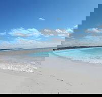 Shipwreck Special Nature Tour/Half Day Tour - Restaurant Guide