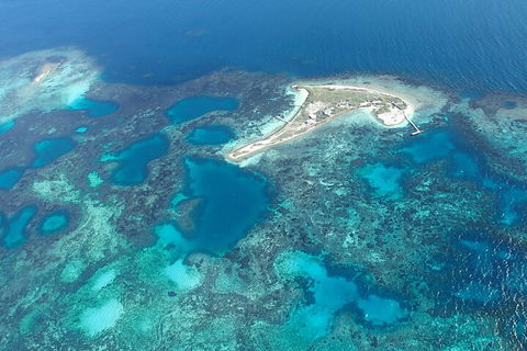 Shipwreck Special Nature Tour/Half Day Tour - Restaurant Guide 5