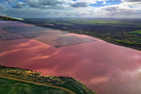 Kalbarri, Pink Lake And Abrolhos Islands Nature Tour - Restaurant Guide 1