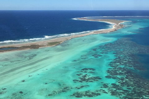 Kalbarri, Pink Lake And Abrolhos Islands Nature Tour - Restaurant Guide 3