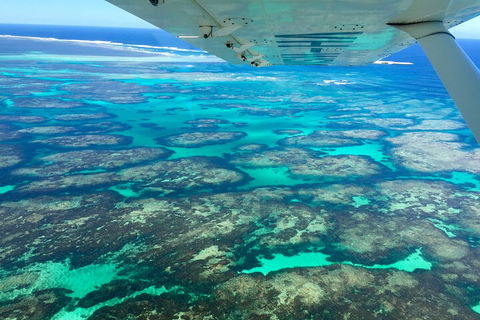 Kalbarri, Pink Lake And Abrolhos Islands Nature Tour - Restaurant Guide 5