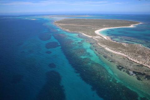 Pink Lake + Abrolhos Islands Scenic Flight - Restaurant Guide 0