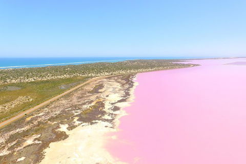 Pink Lake + Abrolhos Islands Scenic Flight - Restaurant Guide 4