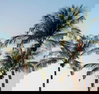 Darwin City Sightseeing Tour - Restaurant Guide