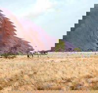 Uluru Sunrise and Guided Base Walk - Restaurant Guide