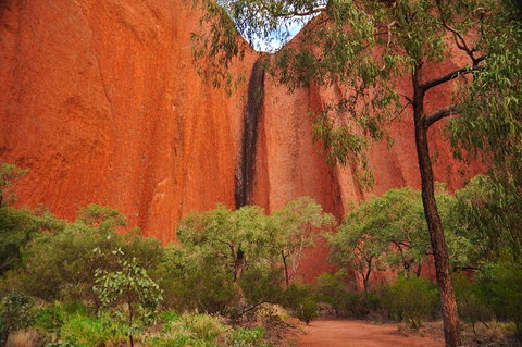 Uluru Sunrise And Guided Base Walk - Restaurant Guide 3