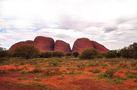 Ayers Rock 4 Tour Combo: Complete Uluru Base Walk At Sunrise, Valley Of The Winds At Sunrise, Kata Tjuta Sunset And Uluru Sunset - Restaurant Guide 1