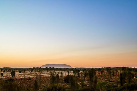 Uluru (Ayers Rock) Field Of Light Sunrise Tour - Restaurant Guide 0