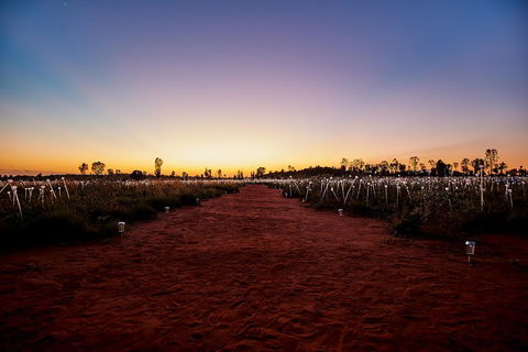 Uluru (Ayers Rock) Field Of Light Sunrise Tour - Restaurant Guide 3