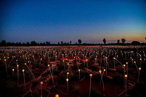 Uluru (Ayers Rock) Field Of Light Sunrise Tour - Restaurant Guide 4
