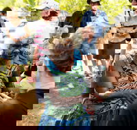 Tiwi Islands Cultural Experience from Darwin Including Ferry - Restaurant Guide