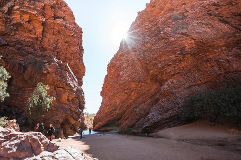 West MacDonnell Ranges- Half Day Trip From Alice Springs - Restaurant Guide 0
