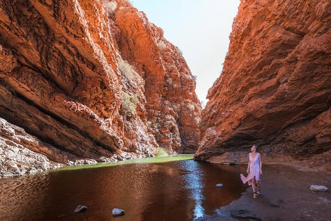 West MacDonnell Ranges- Half Day Trip From Alice Springs - Restaurant Guide 1