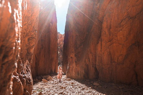 West MacDonnell Ranges- Half Day Trip From Alice Springs - Restaurant Guide 4