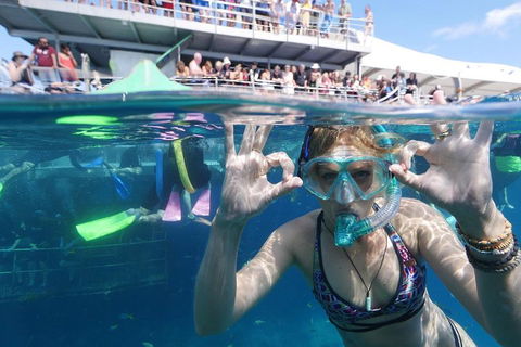 Great Barrier Reef Day Cruise From Cairns Including Snorkeling And Marine Biologist Presentation - Restaurant Guide 0