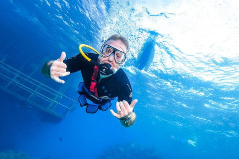 Great Barrier Reef Day Cruise From Cairns Including Snorkeling And Marine Biologist Presentation - Restaurant Guide 3