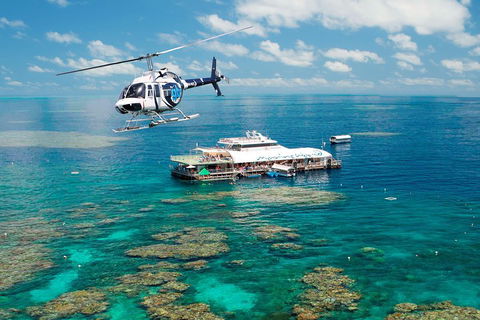 Great Barrier Reef Day Cruise From Cairns Including Snorkeling And Marine Biologist Presentation - Restaurant Guide 5