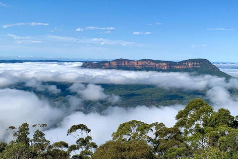 Small-Group Blue Mountains Tour With A Local Guide - Restaurant Guide 4