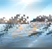 Brisbane Kayak Tour - Restaurant Guide