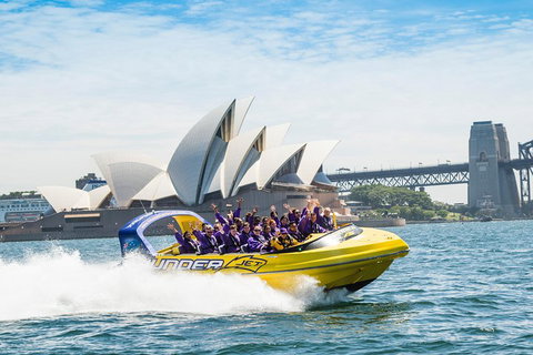 45 Minute Extreme Adrenaline Rush Ride - Restaurant Guide 5