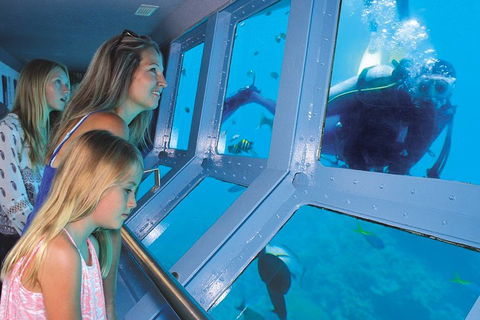 Quicksilver Outer Great Barrier Reef Snorkel Cruise From Palm Cove - Restaurant Guide 0