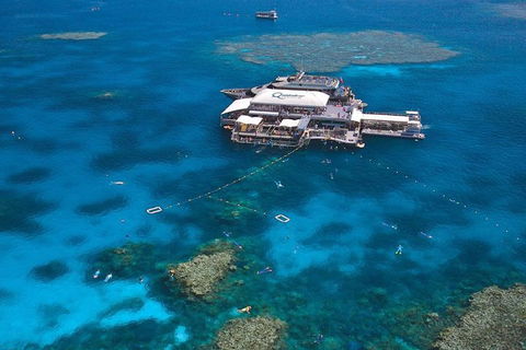 Quicksilver Outer Great Barrier Reef Snorkel Cruise From Palm Cove - Restaurant Guide 1