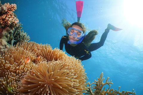 Quicksilver Outer Great Barrier Reef Snorkel Cruise From Palm Cove - Restaurant Guide 2