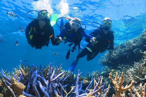 Quicksilver Outer Great Barrier Reef Snorkel Cruise From Palm Cove - Restaurant Guide 3