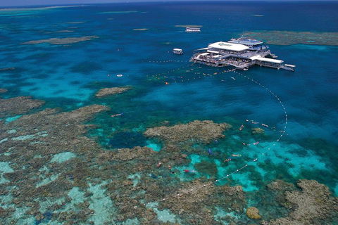 Quicksilver Outer Great Barrier Reef Snorkel Cruise From Port Douglas - Restaurant Guide 3