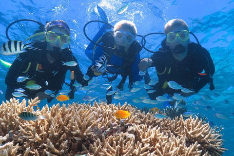 Quicksilver Outer Great Barrier Reef Snorkel Cruise From Port Douglas - Restaurant Guide 4