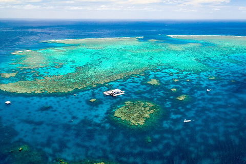 Quicksilver Outer Great Barrier Reef Snorkel Cruise From Port Douglas - Restaurant Guide 5