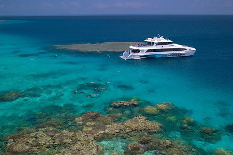 Silversonic Outer Great Barrier Reef Dive And Snorkel Cruise From Port Douglas - Restaurant Guide 2