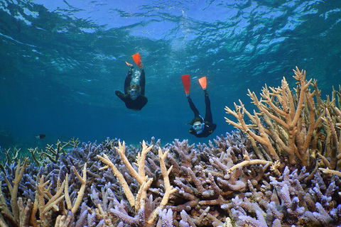 Silversonic Outer Great Barrier Reef Dive And Snorkel Cruise From Port Douglas - Restaurant Guide 4
