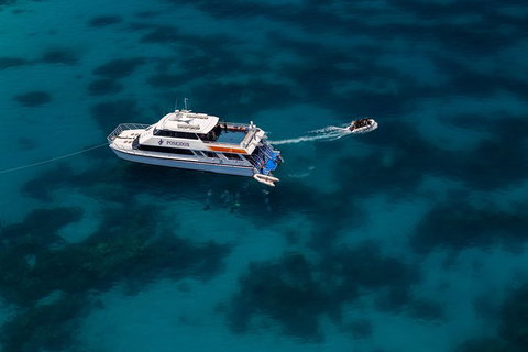 Quicksilver Dive 4 Day PADI Learn To Dive Course - Restaurant Guide 1