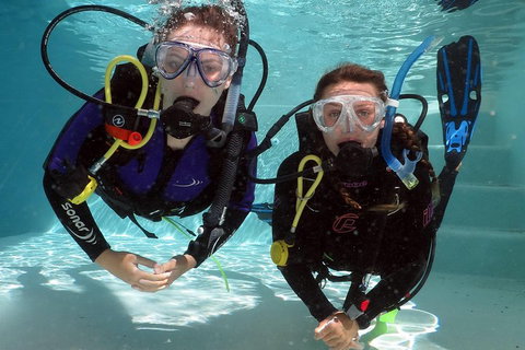 Quicksilver Dive 4 Day PADI Learn To Dive Course - Restaurant Guide 2