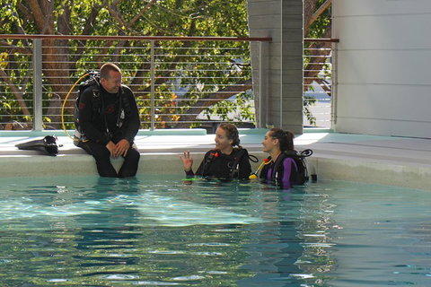Quicksilver Dive 4 Day PADI Learn To Dive Course - Restaurant Guide 3